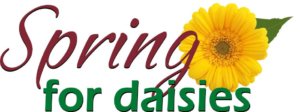 Spring for daisies