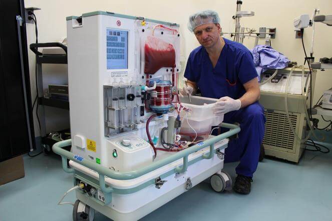 Surgeon handling a liver transplant