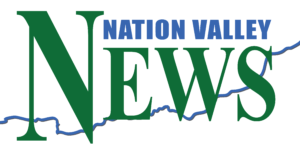 National Valley News logo