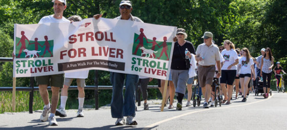 A group of attendees walk down a park path in a line at the Ottawa Stroll for liver. Two men are at the foreground of the photo holding a Stroll for liver banner ahead of the rest of the attendants. 