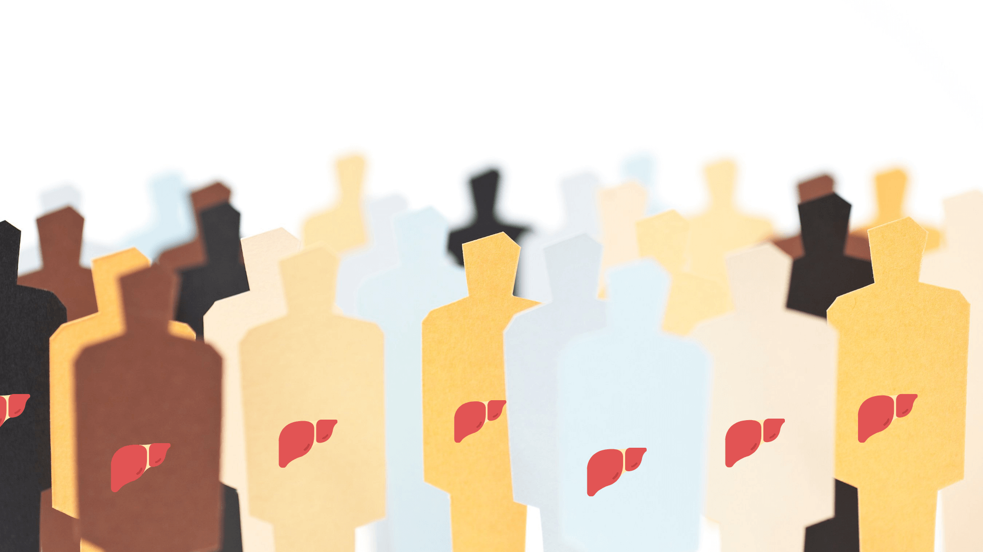 Paperdolls representing diversity of people with liver disease